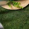 18x16-Inch Green Natural Preserved Moss Sheet Party DIY Crafts Supplies Event